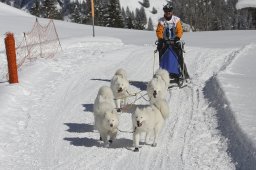 Kandersteg 2013